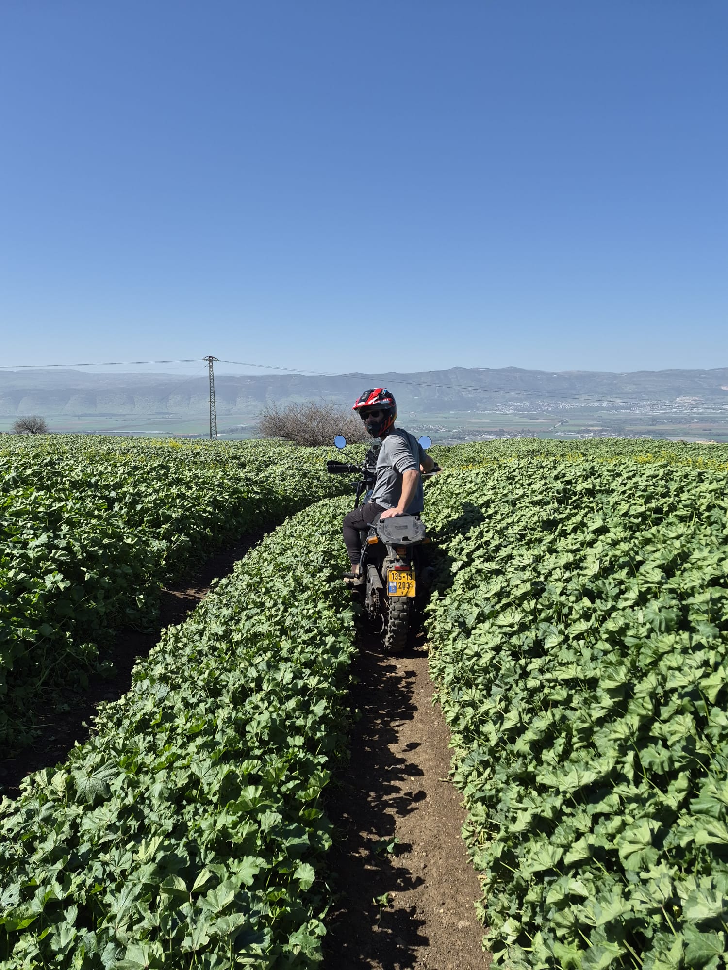 דב למדן על אופנוע